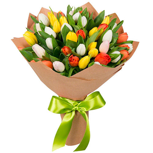 Tulip mix 49 pcs