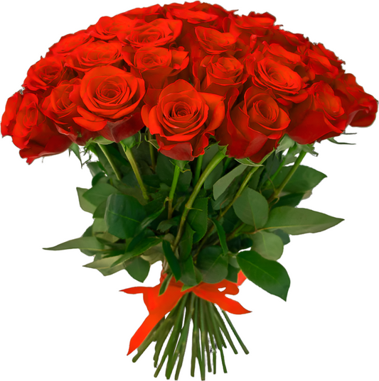 Bouquet of 25 Red Roses
